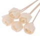 5PCS Flower Shaped No Fire Aroma Diffuser Sticks Household Bedroom Aroma Diffuser Accessories Reed Rattan Stick 5PCS Flower Shaped No Fire Aroma Diffuser Sticks Household Bedroom Aroma Diffuser Accessories Reed Rattan Stick