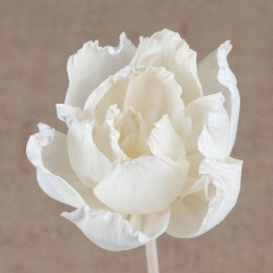 3PCS/lot Flower Shape No Fire Aromatherapy Rattan Sticks DIY Reed Diffuser Accessories Home Room Decoration