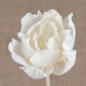 3PCS/lot Flower Shape No Fire Aromatherapy Rattan Sticks DIY Reed Diffuser Accessories Home Room Decoration 3PCS/lot Flower Shape No Fire Aromatherapy Rattan Sticks DIY Reed Diffuser Accessories Home Room Decoration