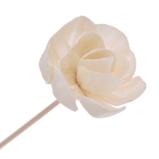 5PCS Flower Shaped No Fire Aroma Diffuser Sticks Household Bedroom Aroma Diffuser Accessories Reed Rattan Stick 5PCS Flower Shaped No Fire Aroma Diffuser Sticks Household Bedroom Aroma Diffuser Accessories Reed Rattan Stick