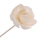 5PCS Flower Shaped No Fire Aroma Diffuser Sticks Household Bedroom Aroma Diffuser Accessories Reed Rattan Stick 5PCS Flower Shaped No Fire Aroma Diffuser Sticks Household Bedroom Aroma Diffuser Accessories Reed Rattan Stick