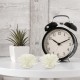 100 Pcs Aromatherapy Diffuser Desk Mini Essential Oil Flower Small Office Bathroom Home Decor Sticks Pe Practical Design 100 Pcs Aromatherapy Diffuser Desk Mini Essential Oil Flower Small Office Bathroom Home Decor Sticks Pe Practical Design
