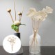 6/10pcs Fireless Aroma Dried Flower Essential Oil Diffuser Aromatherapy Sticks Replacement Rattan Diffuser Rods 6/10pcs Fireless Aroma Dried Flower Essential Oil Diffuser Aromatherapy Sticks Replacement Rattan Diffuser Rods