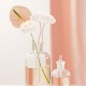 6/10pcs Fireless Aroma Dried Flower Essential Oil Diffuser Aromatherapy Sticks Replacement Rattan Diffuser Rods 6/10pcs Fireless Aroma Dried Flower Essential Oil Diffuser Aromatherapy Sticks Replacement Rattan Diffuser Rods